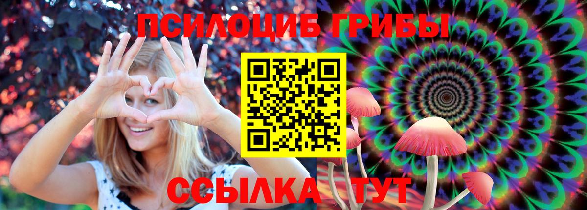 Галлюциногенные грибы ЛСД  Вход с VPN  Галлюциногенные грибы мицелий  Новошахтинск 